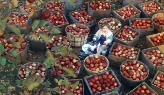 The Movie Baby Boom, Baby Elizabeth is down below amongst baskets of apples