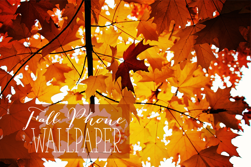 Friday Freebie: Fall Phone Wallpapers | Fall Inspired wallpapers for iphone and galaxyS5 - Alex Inspired