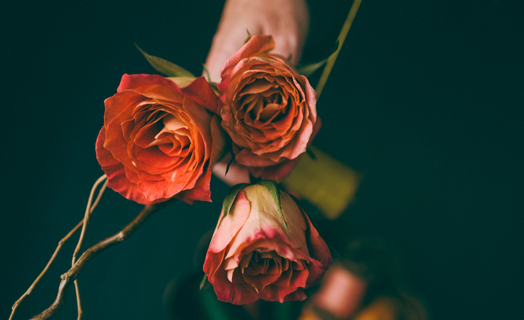 Fall Flair – Crisp design trends for Autumn decor