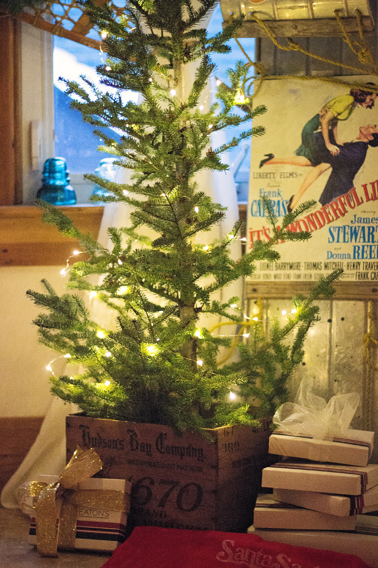 Have Yourself a Canadian Little Christmas - Blog Hop. Balsam Tree in a vintage Hudson's Bay Crate | Alex Inspired