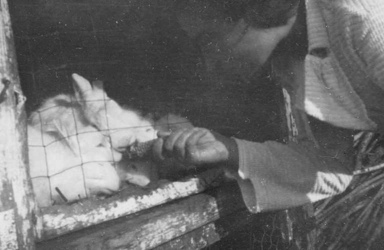 Babcia feeding bunies