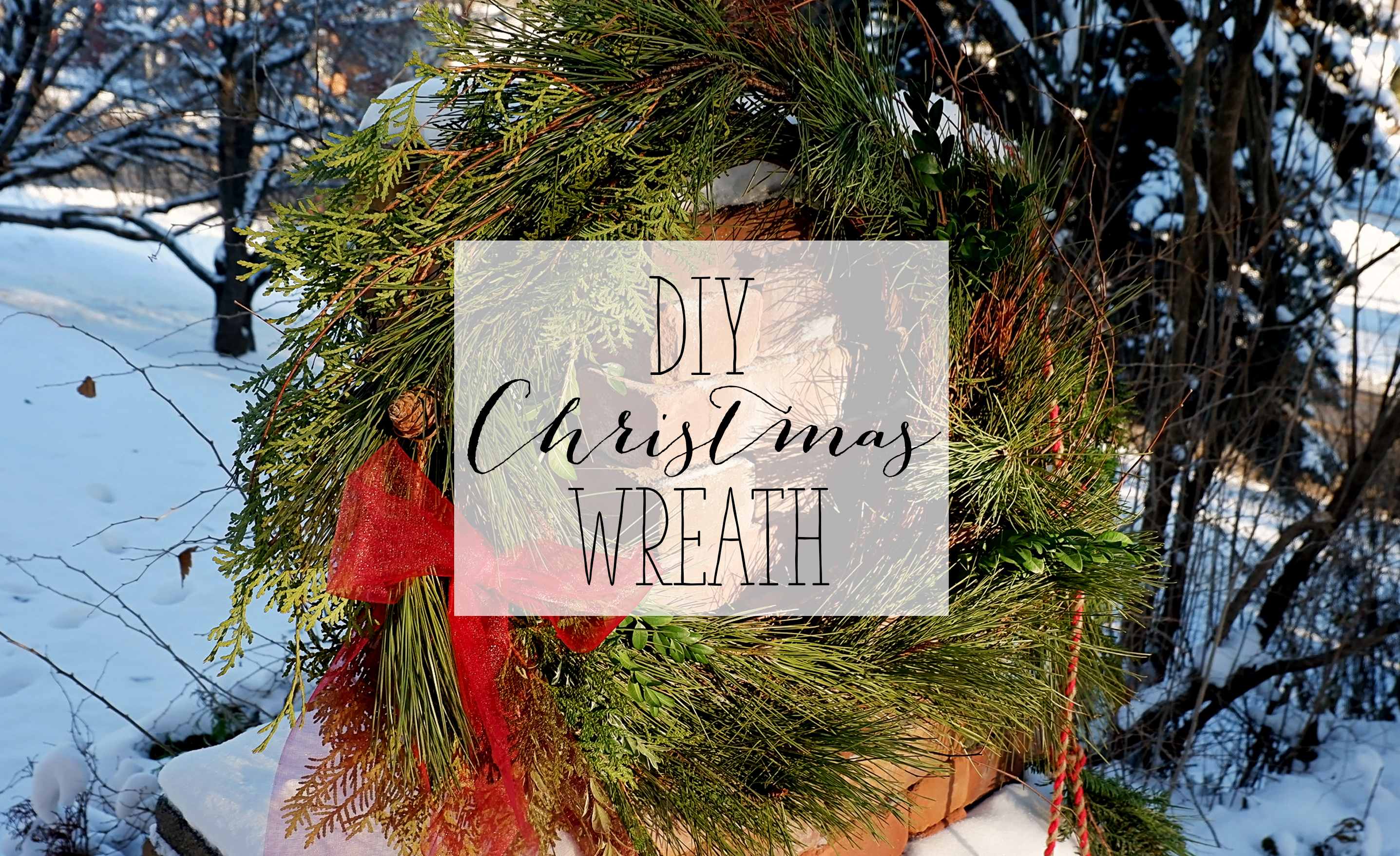 DIY Christmas Wreath - Fresh Green Christmas Wreath | Alex Inspired