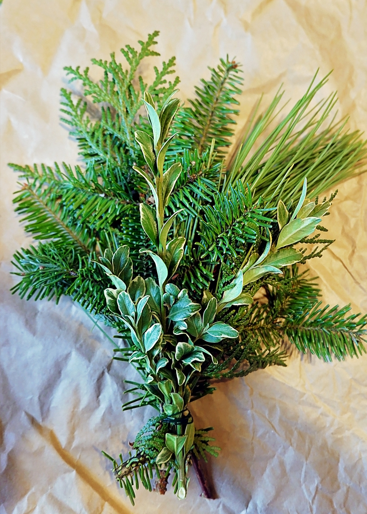 Bundles of greenery | Alex Inspired