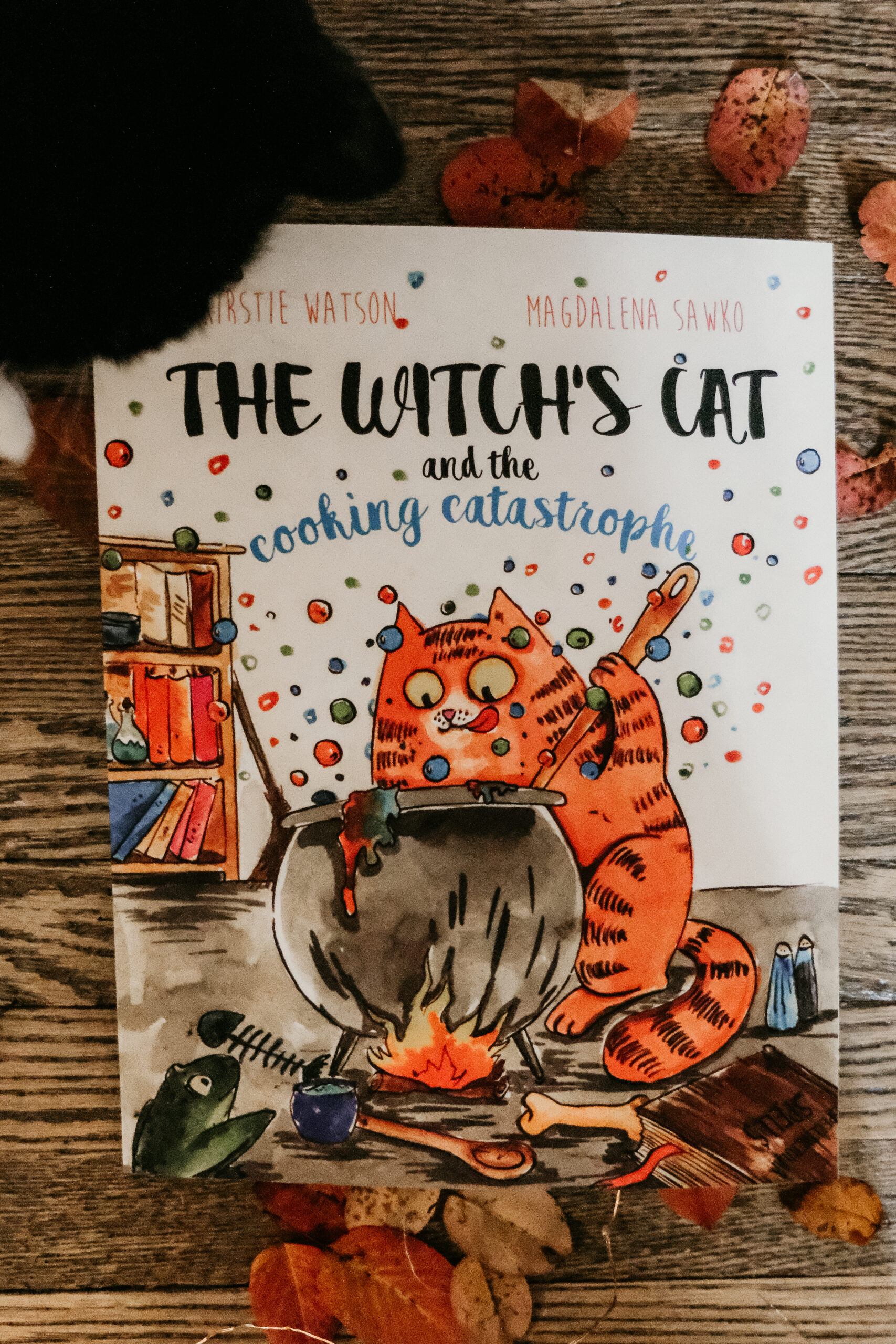 Image of a book "The Witch's Cat"