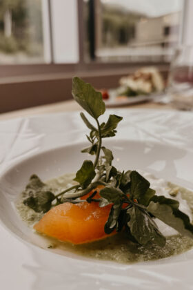 Club Med | Quebec - AlexInspired