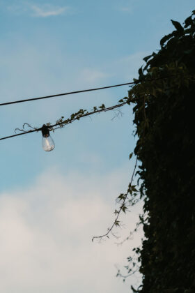 Alex Inspired Summer - Virginia Creeper taking over