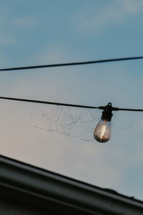 Alex Inspired Summer - Cobwebs