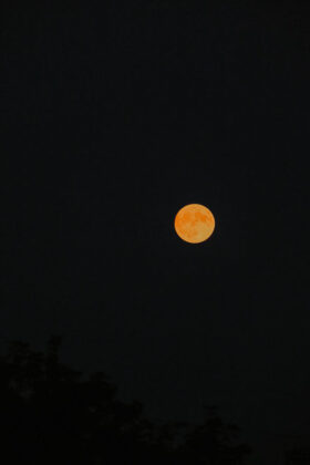 Alex Inspired - Summer full moon